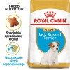 Royal Canin SHN Breed Jack Russell Junior - Dry dog food Poultry,Rice - 3 kg