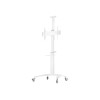 REFLECTA TV Stand 70VCP-Shelf WHITE