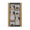 RS-80 HEMN OFFICE SHELVING UNIT, ANTHRACITE/ARTISAN OAK