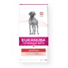 Eukanuba Veterinary Diet Intestinal 12 kg Adult