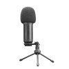 MICROPHONE GXT 252+ EMITA PLUS/STREAMING 22400 TRUST