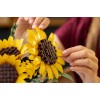 LEGO BOTANICALS 11502 Sunflower Bouquet