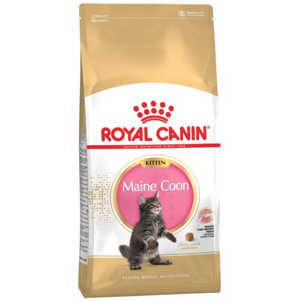 ROYAL CANIN Maine Coon Kitten - ...