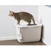 SAVIC HOP Coffee Brown with White Lid – Cat Litter Tray – 58.5x39x39.5 cm – 1 pc.