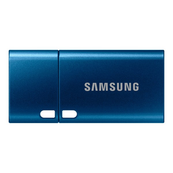 SAMSUNG USB Type-C 256GB USB 3.1 ...