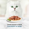 PURINA Gourmet Perle Mini fillets in sauce - wet cat food - 60x85g