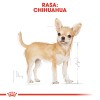 ROYAL CANIN BHN Chihuahua Adult dry dog food - 1.5 kg