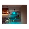 Hue WCA 13.5W A67 E27 | E27 | 13.5 W | RGBW 2000-6500K | Bluetooth and Zigbee