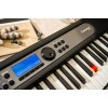 Casio LK-S450 synthesizer Digital synthesizer 61 Black