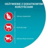 PURINA One Sterilcat Wołowina - dry cat food - 9,75kg