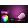 Philips Hue|Hue Go Portable Light|6 W|White and color ambiance|Zigbee