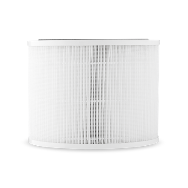 HEPA+Carbon filter for Bright Air Purifier ...