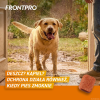 FRONTPRO Flea and tick tablets for dog (>25-50 kg) - 3x 136mg