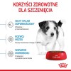 ROYAL CANIN Puppy Mini - dry dog food - 8 kg