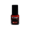 Thermal Grizzly | Protective Varnish | Shield 5ml