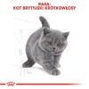 Royal Canin British Shorthair Kitten cats dry food 2 kg Poultry, Rice, Vegetable