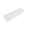 Natec | Keyboard | Nautilus NKL-1951 | Keyboard | Wired | US | White | USB Type-A | 390 g