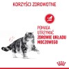 Royal Canin Urinary Care dry cat food 4 kg