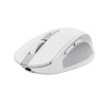 Trust Ozaa mouse Right-hand RF Wireless + Bluetooth Optical 3200 DPI