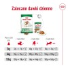 ROYAL CANIN Mini Ageing Adult +12 - dry dog food - 3,5 kg