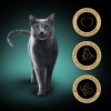 SHEBA tray sauce poultry/chicken/ turkey - wet cat food - 32x85 g