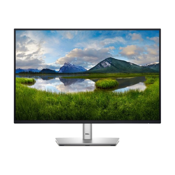 DELL P Series P2425E computer monitor ...