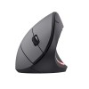 Trust Verto mouse Right-hand RF Wireless Optical 1600 DPI