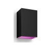 Philips Hue WCA Resonate Outdoor Wall Lantern, Black | 8 W | 2000-6500 Hue White Colour Ambiance
