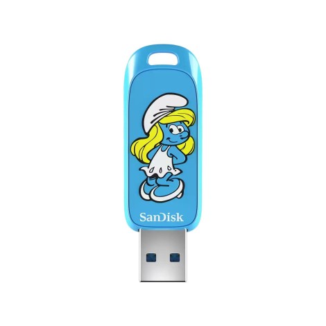 MEMORY DRIVE FLASH USB3.2/256GB SDCZIS-256G-G46 SANDISK