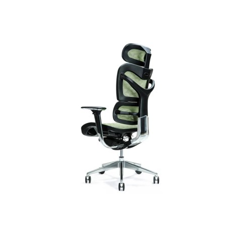 Ergonomic office chair ERGO 700 green