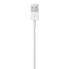 Apple Lightning to USB Cable (2 m)