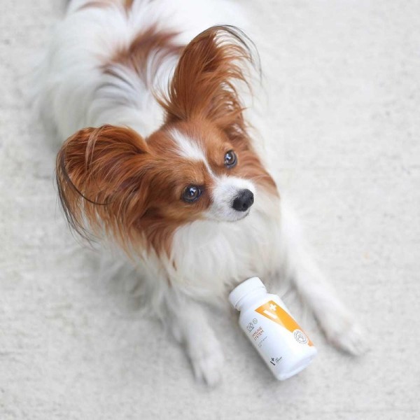 VET EXPERT Immune System - immune ...