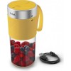 Tefal BL1C0230 LightMix on the go Blender | TEFAL