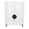 Adler | AD 7972 | Humidifier | 23 W | Water tank capacity 4 L | Suitable for rooms up to 35 m² | Ultrasonic | Humidification capacity 150-300 ml/hr | White