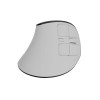 Natec Mouse | Euphonie Pro | Wireless | 2.4 GHz, Bluetooth | White