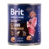 BRIT Premium by Nature Lamb with Buckwheat - Wet dog food - 800 g