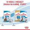 ROYAL CANIN SHN Maxi Starter Mother & Babydog - dry dog food - 4 kg