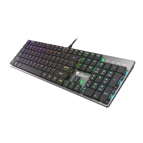 GENESIS THOR 420 Gaming Keyboard, US Layout, Wired, Silver | Genesis | THOR 420 | Silver | Gaming keyboard | Wired | RGB LED light | US | 1.65 m