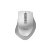 Asus WT425 MOUSE/SIL | Asus