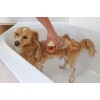 KERBL MagicBrush Bath Brush for Dogs and Cats with 100 ml Container - 11.5x7.5 cm