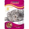 SUPER BENEK Chicken in sauce - wet cat food - 100 g