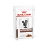 ROYAL CANIN Gastrointestinal Wet cat food Chunks in sauce Poultry, Pork 12x85 g