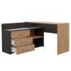 Topeshop DANY ANT/ART KPL computer desk
