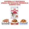 ROYAL CANIN FHN Instinctive - wet pate food for adult cats - 12x 85g