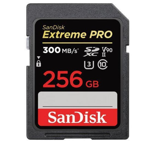 MEMORY SDXC 256GB UHS-II/SDSDXDK-256G-GN4IN SANDISK