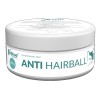 VetFood Anti Hairlball na kule włosowe dla kota 100g
