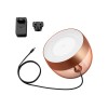Philips Hue|Hue Iris Portable Lamp, Copper Special Edition|Copper/brass|Portable lamp