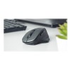 Natec Mouse, BlackBird 2, Silent, Wireless, 1600 DPI, Optical, Black | Natec | Mouse | Optical | Wireless | Black/Gray | BlackBird 2