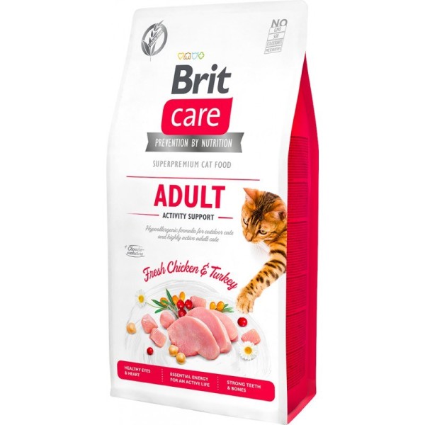 BRIT Care Adult Activity Support - ...