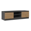 Topeshop RTV 120 ANTR/ARTIS TV stand/entertainment centre 2 shelves